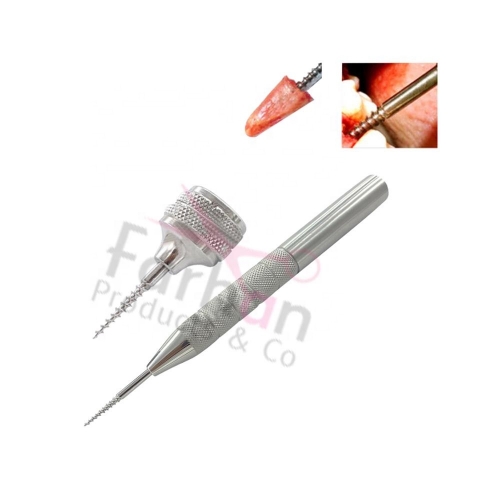 FP - DI - 1006