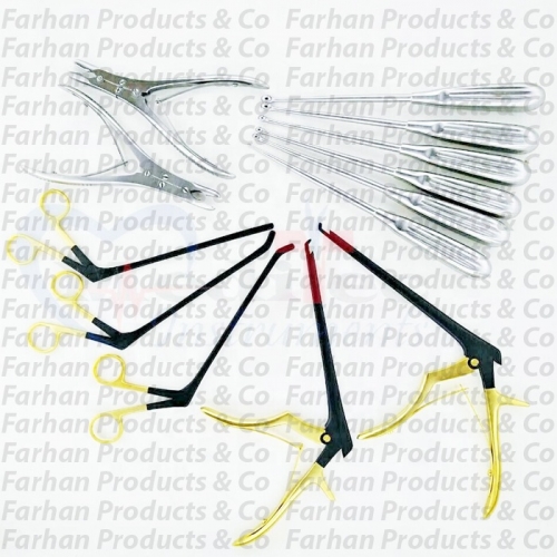 FP - ID - 1037