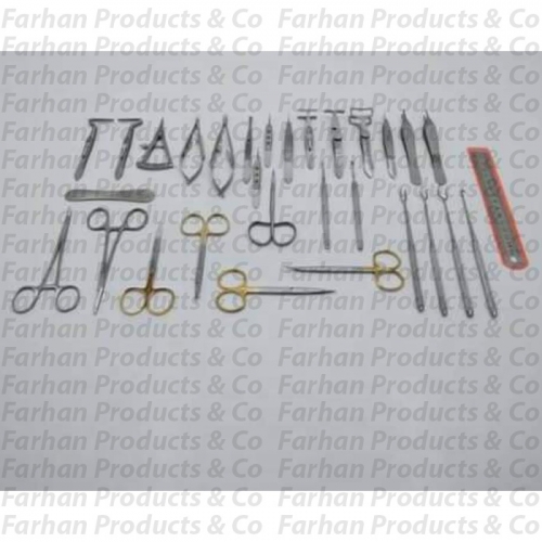 FP - ID - 1060